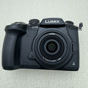 LUMIX GH5 G 1:2.5/14 ASPH