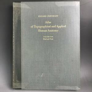 ut26/82 PERNKOPF Atlas of Topographical and Applied Human Anatomy 医学書 洋書 vol1■