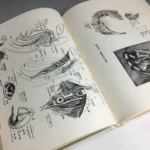 ut26/88 ［ATLAS　OF　HUMAN　SEX　ANATOMY　完訳・人体性解剖学図説　金子栄寿］　性交の解剖学　受胎調節の解剖学○_画像4