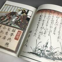 ut27/65 豪華限定版　英泉枕絵草紙　平成6年　渓斎英泉　さよあらし　500部　定価35,000円　春画/艶画/秘画/美人画/画集/アート/浮世絵⑥_画像6