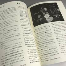 ut27/48 ヒルビリーバップス 宮城宗典recollection 夢見る頃を過ぎても MY ONLY ONE HILL BILLY BOPS 永瀬正敏 追悼 zine⑪_画像4