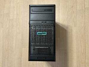 240304◎HPE ProLiant ML30 Gen 10 Xeon/16GB/1T X2RAID1/WS2016Ess◎送料込