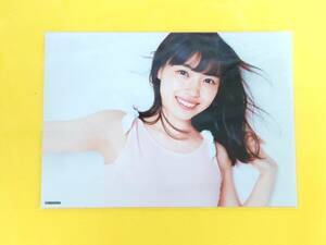 STU48 岩田陽菜【公式ガイドブック SHOP 外付け特典生写真】AKB48 シングル選抜総選挙