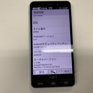 JI796 SoftBank 509SH 判定○の画像3