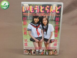 【YT-0286】DVD いもうとらんど 鈴木絵美華 杉野光希 アイドル イメージ 制服 現状品【千円市場】