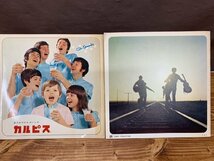 【OJ-4287】当時物 希少 THE OSMONDS オズモンズ 日本公演 パンフ コンサート 2点 セット【千円市場】_画像2