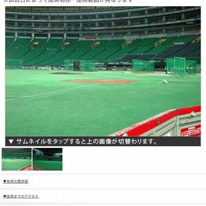 4/21 ホークスvsオリックス コカコーラシートA 2枚 ※駐車場確保権利券付の画像5