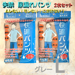 軽失禁 尿漏れパンツ グレー Lサイズ 2枚セット メンズ ブリーフ 男性用 メンズ 下着 高吸収 抗菌 消臭 通気性 防水 綿 ストレッチ