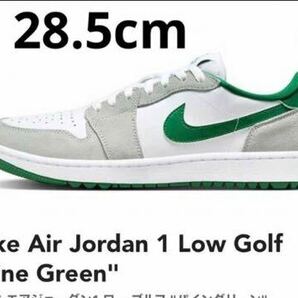 Nike Air Jordan 1 Low Golf 28.5cm