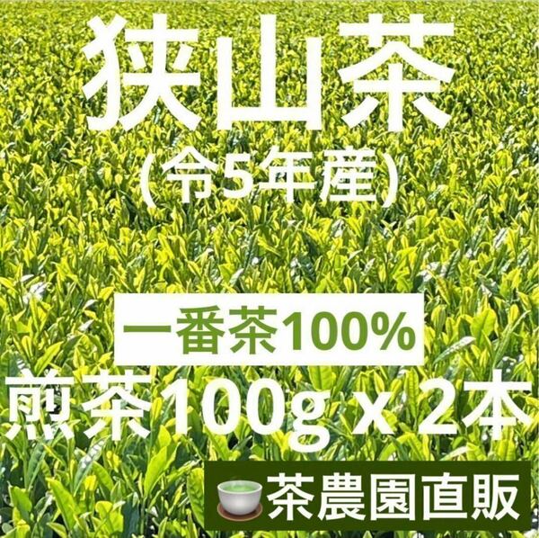 【狭山茶】茶畑直販☆煎茶2袋(令5年産)☆一番茶100%深蒸し茶 緑茶日本茶お茶