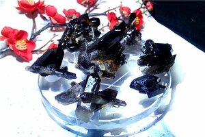 AAA級【魔除け】◆天然モリオン(黒水晶）クラスター七星陣178C7-65C09b