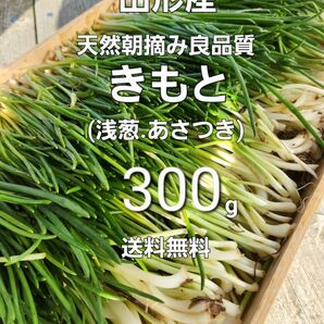 山形鳥海山産　朝摘きもと約300g(あさつき)春野菜　朝月　浅葱　アサツキ　山菜