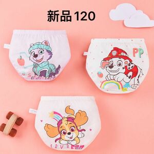 新品 パウパトロール パンツ 下着 女の子 3枚組 120