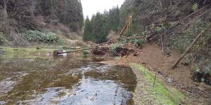 【復興米】５年産 コシヒカリ 白米１０㎏① 石川県輪島産 農家直送 遠赤外線乾燥 無農薬栽培 世界農業遺産 紙袋で発送