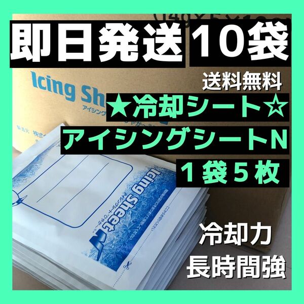 アイシングシートN_ 10袋 冷却シート 湿布 匿名発送 医薬部外品