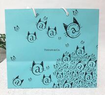 ティファニー「TIFFANY&Co.」ショッパー キャットストリート限定 (3315) 正規品 付属品 ショップ袋 ブランド紙袋 封筒付き 折らずに配送_画像5