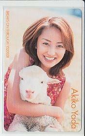 B=x864 矢田亜希子 テレカ