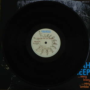 ★国内盤LP★URIAH HEEP / VERY ‘EAVY VERY ‘UMBLE ユーライア・ヒープ / ファースト 1stアルバム BRONZE RECORDS 東芝EMI WBS-40147★の画像5