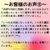 タロット占い　占い　恋愛　結婚　仕事　人間関係　金運　不倫　復縁　転職　悩み　運勢　離婚　適職　霊視　送料無料　即決　鑑定　鑑定書_画像9