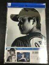 ピ/大谷翔平/クリアファイル/2枚セット/日本ハム時代/ピッチャーVer./二刀流/公式グッズ/3.4-133KS_画像4