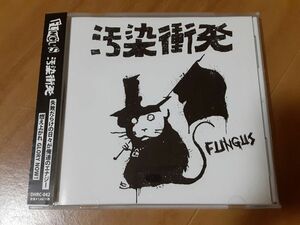 FUNGUS 「汚染衝突」 ファンガス