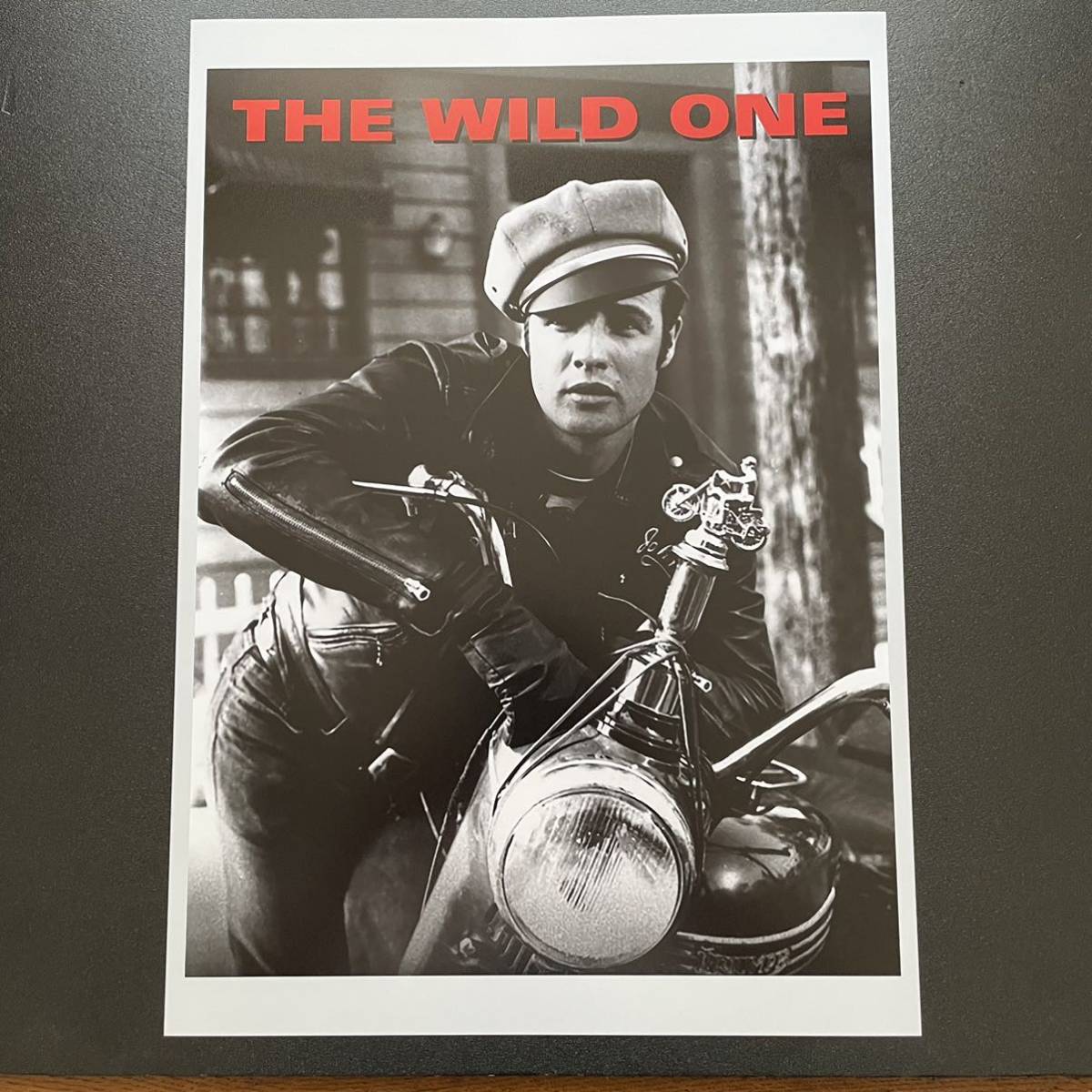 2025年最新】Yahoo!オークション -乱暴者 wildの中古品・新品