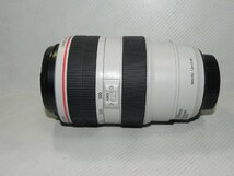 Canon EF 70-300mm F4-5.6 L IS USM(手ブレ補正)_画像4