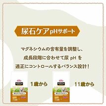 メディコート アドバンス 尿石ケア pHサポート 1歳から【国産/アルミ小分け】 1kg(250g×4)_画像8