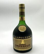 未開栓 古酒 NAPOLEON ナポレオン GRAND EMPEREUR 特級 ブランデー 700ml 40% 箱付き_画像2