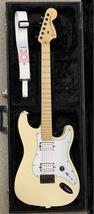 Fender USA Jim Root Stratocaster Flat White with EMG Limited White Bobbin Daemonum_画像2