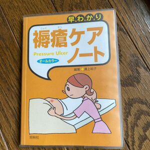 早わかり褥瘡ケア・ノート　褥瘡　教科書　看護師　皮膚　