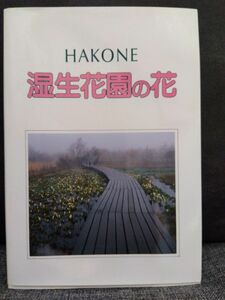 Hakone : 湿生花園の花　★箱根