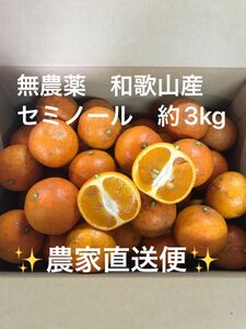 【訳あり品　無農薬　和歌山産　セミノール 3kg 農家直送便】