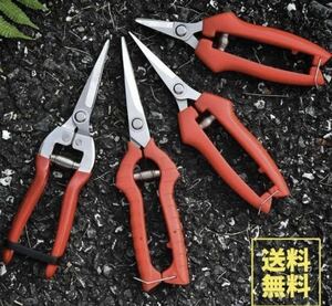  pruning . pruning scissors branch cut . tongs scissors gardening for gardening garden branch cut flower 4 pcs set 