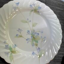 未使用保管品　ノリタケ Noritake morning terrace 大皿一枚　小皿五枚　ケーキ皿セット　Y7308F/9956 洋食器 花柄 No.1059_画像8