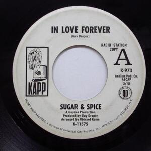 SUGAR & SPICE (シュガー＆スパイス) -In Love Forever (US プロモ白ラベ「両面同曲」7)