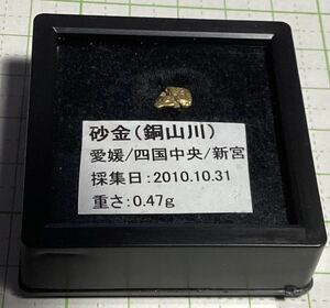 四国中央市新宮の銅山川で採集　0、47gの砂金　10000円から