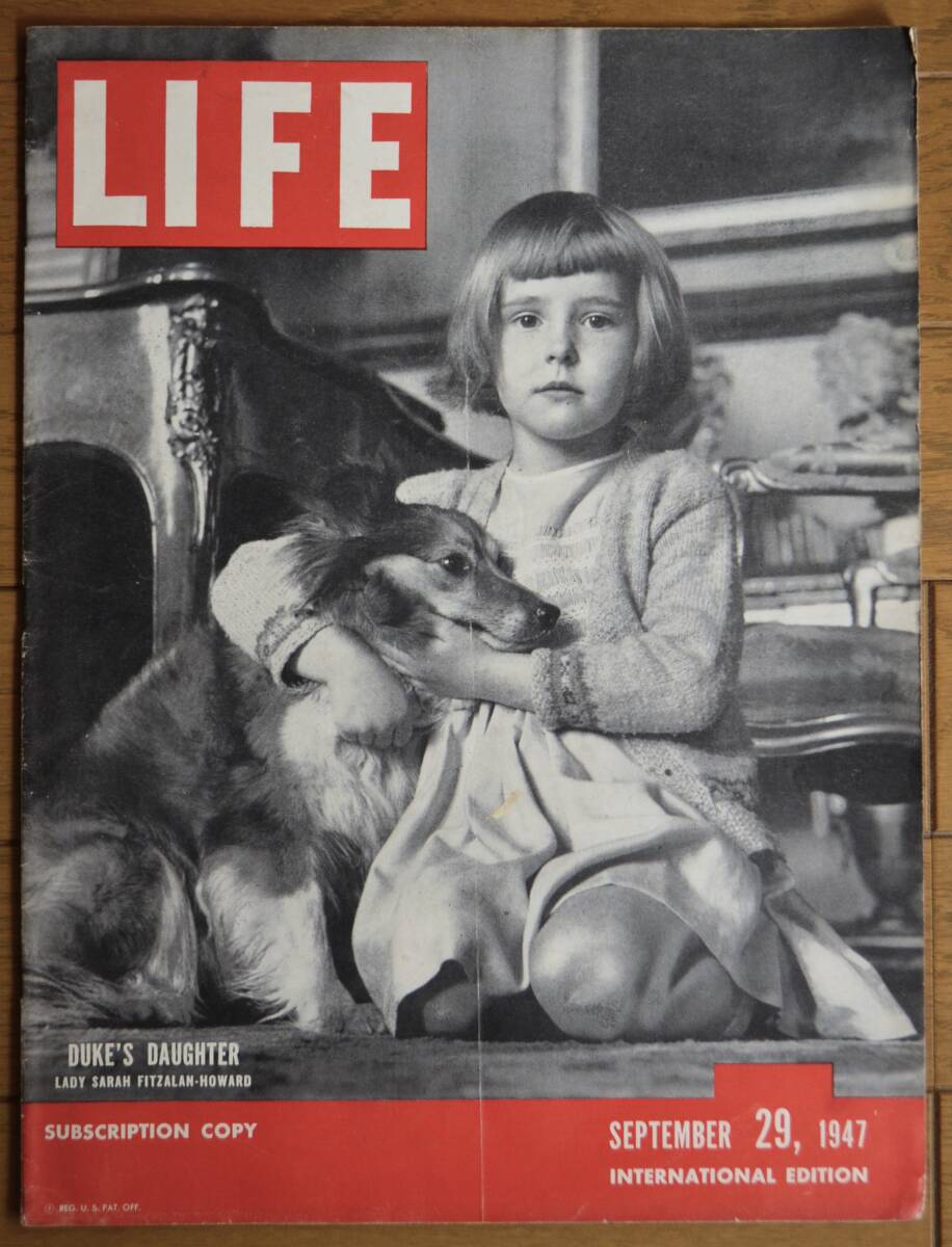 2025年最新】Yahoo!オークション -life誌 ライフ(雑誌)の中古品 2025年最新】Yahoo!オークション -life誌 ライフ(雑誌)の中古品