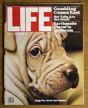 稀少！LIFE誌/January,1979/希少な犬たち/Dogs so Rare/シャー・ペイ/ライフ誌/USA/アメリカ雑誌/_画像1