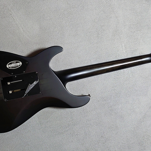 SCHECTER Hellraiser Extreme C-1 FR E（最上位機種）EMG 81・89R 2015年 Diamond Series シェクターの画像8