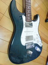 Freedom ST Pepper custom　ブルートランス_画像1