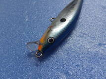 ラパラ(Rapala) フラットラップ 6 FLR-6 FLR6_画像6