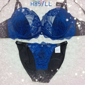 H85/LL 下厚モールドカップ ブラジャー ショーツ セット グラマー 大きいサイズ Hカップ 翼