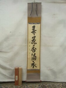 E1998 大徳寺雲林院 藤田寛道 1 「弄花香満衣」一行書 肉筆紙本 掛軸 共箱