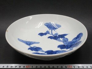 D763 鍋島焼 染付 芙蓉文 皿 径21cm 櫛高台 1