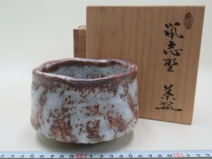 D0862 加藤春鼎 鼡志野 茶碗 抹茶碗 茶器 茶道具 共箱