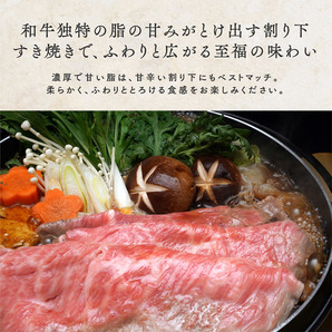 最高級 黒毛和牛 A5等級 霜降り クラシタロース スライス 500g【 ギフト 牛肉 すき焼き 和牛 しゃぶしゃぶ お肉 お中元 内祝い 肩ローの画像7