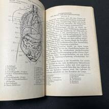 【中古 送料込】洋書『医学 DER MENSCH - EINE TASCHEN ANATOMIE』RECLAM 1967年発行◆N3-135_画像5