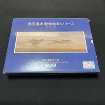 【中古 送料込】『吉田遠志 動物絵本シリーズ アフリカ 第3集全5冊』吉田遠志 ベネッセ 1988年発行◆N3-450_画像1