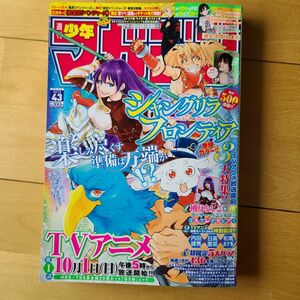 少年マガジン 43号 伊原六花 桃月なしこ シャングリラ フロンティア 特集